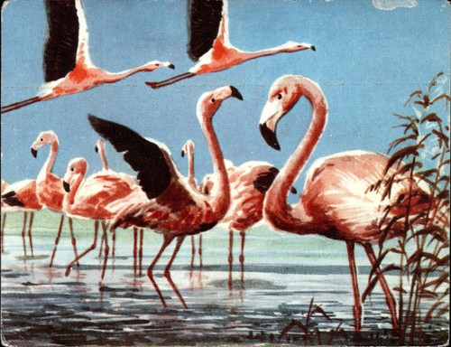 Figurina genti paesi - figurina, e