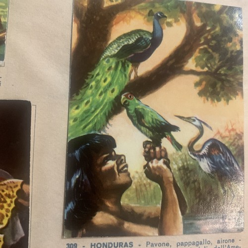 Figurina 309 gente - , n.309